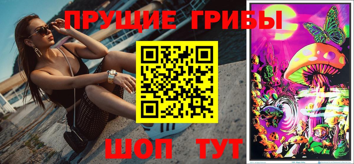 Рассказово  Псилоцибиновые грибы MAGIC MUSHROOMS  Вход с VPN 